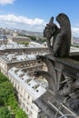 Gargoyle at Notre Dame de Paris Royalty Free Stock Photo