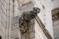 Gargoyle on Notre Dame of Paris, France Royalty Free Stock Photo