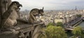 Gargoyle, Notre Dame, Paris, France Royalty Free Stock Photo