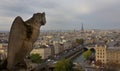 Gargoyle, Notre Dame, Paris, France Royalty Free Stock Photo