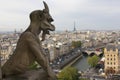 Gargoyle, Notre Dame, Paris, France Royalty Free Stock Photo