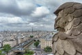 Gargoyle overlooking blurred Paris on Notre Dame Royalty Free Stock Photo