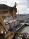 Gargoyle Overlooking City of Paris France Royalty Free Stock Photo