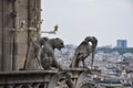 Gargoyle overlooking Paris, France Royalty Free Stock Photo