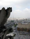 Gargoyle Overlooking Paris 2