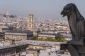 Gargoyle Overlooking Paris Royalty Free Stock Photo