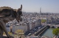 Gargoyle Overlooking Paris Royalty Free Stock Photo