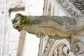 Gargoyle in Poitiers, France