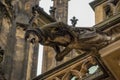 Gargoyle of Saint Vitus Cathedral, Prague Royalty Free Stock Photo