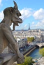 Gargoyle on the roof of Notre-Dame Royalty Free Stock Photo