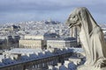 Gargoyle on the roof of Notre-Dame, Paris cathedral Royalty Free Stock Photo
