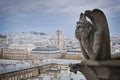 Gargoyle on the roof of Notre Dame in Paris, France