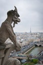 Gargoyle on the roof of Notre Dame in Paris, France.