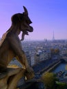 Gargoyle on roof of Notre Dame Royalty Free Stock Photo