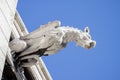 Gargoyle in the Sacre Coeur Basilica in Paris, France Royalty Free Stock Photo