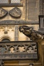 Gargoyle of Saint Vitus Cathedral, Prague Royalty Free Stock Photo