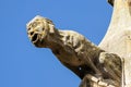 Gargoyle sculture on medieval cathedral. Mirepoix.