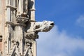 Gargoyle in Siena Cathedral Royalty Free Stock Photo