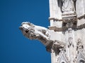 Gargoyle at Siena Cathedral Royalty Free Stock Photo