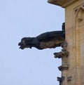 Gargoyle of St. Vitus Cathedral, Prague, Czech Republic Royalty Free Stock Photo