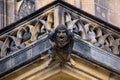 Gargoyle of St. Vitus Cathedral in Prague, Czech Republic Royalty Free Stock Photo