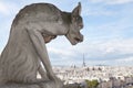 Gargoyle Statue cathedral Notre Dame Royalty Free Stock Photo