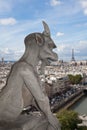 Gargoyle Statue cathedral Notre Dame Royalty Free Stock Photo