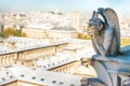 Gargoyle statue on Notre Dame de Paris Royalty Free Stock Photo