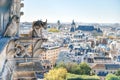 Gargoyle statue on Notre Dame de Paris Royalty Free Stock Photo