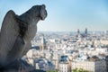 Gargoyle statue on Notre Dame de Paris Royalty Free Stock Photo