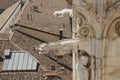 Gargoyle and statue on the roof of Milan Cathedral. Royalty Free Stock Photo