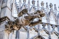 Gargoyle statue on the roof top of the cathedral of Milan, Lombardy, Italy Royalty Free Stock Photo