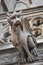 Gargoyle Statues on Gothic Cathedral in Barcelona, Spain