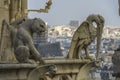 Gargoyle statues in Notre-dame Royalty Free Stock Photo