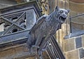 Gargoyle Royalty Free Stock Photo