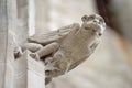 Gargoyle at the wall of the Basilique Saint-Nazaire-et-Saint-Celse in Carcassonne, France.