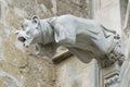 Gargoyle at the wall of the Basilique Saint-Nazaire-et-Saint-Celse in Carcassonne, France. Royalty Free Stock Photo