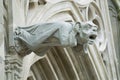 Gargoyle at the wall of the Basilique Saint-Nazaire-et-Saint-Celse in Carcassonne, France. Royalty Free Stock Photo