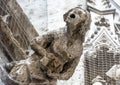 Gargoyle on wall of Rathaus or Town Hall on Marienplatz Square, Munich, Bavaria, Germany Royalty Free Stock Photo