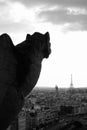 Gargoyle watching over Eiffel Tower Royalty Free Stock Photo