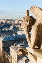 Gargoyle watching the roof of Paris - Vertical Royalty Free Stock Photo