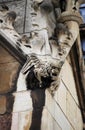 Gargoyle in Westminster Palace
