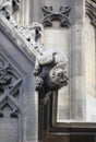 Gargoyle in Westminster Palace