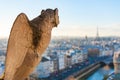 Gargoyle with wings looking at Paris skyline Royalty Free Stock Photo