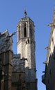 Gargoyles of the Cathedral of the Holy Cross, Gotic Barri, Barcelona, Spain