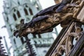 Gargoyles on the Cathedral of St. Vitus in Prague. Royalty Free Stock Photo