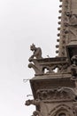Gargoyles Notre Dame