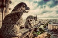 Gargoyles and chimera statues of Notre Dame over Paris, France. Vintage