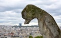 Gargoyles or Chimeras at the Gallery of Chimere. Notre-Dame Cathedral. Paris, France. Royalty Free Stock Photo