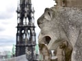 Gargoyles or Chimeras at the Gallery of Chimere. Notre-Dame Cathedral. Paris, France. Royalty Free Stock Photo